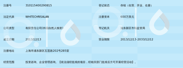 專業引領，價值共創 愛珂投資咨詢的服務理念與實踐